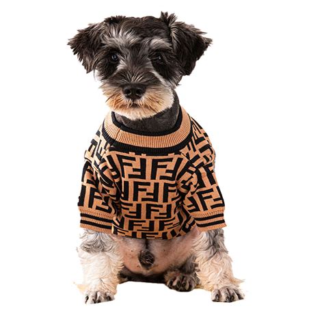 fendi puppy clothes|fendi swag outfit for women.